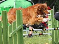 Agility